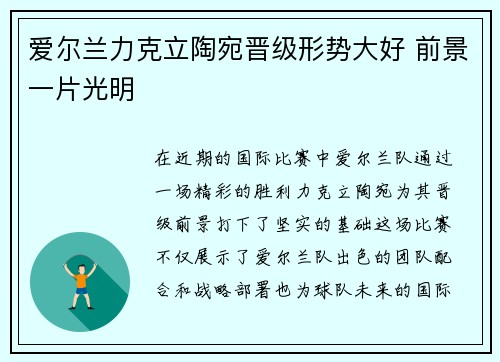 爱尔兰力克立陶宛晋级形势大好 前景一片光明